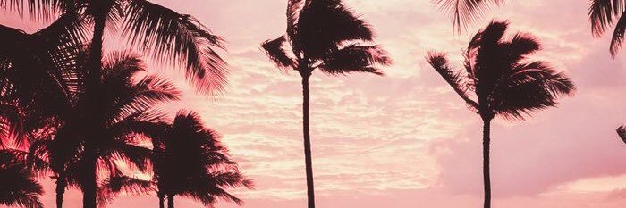 cassirenee_'s profile banner image