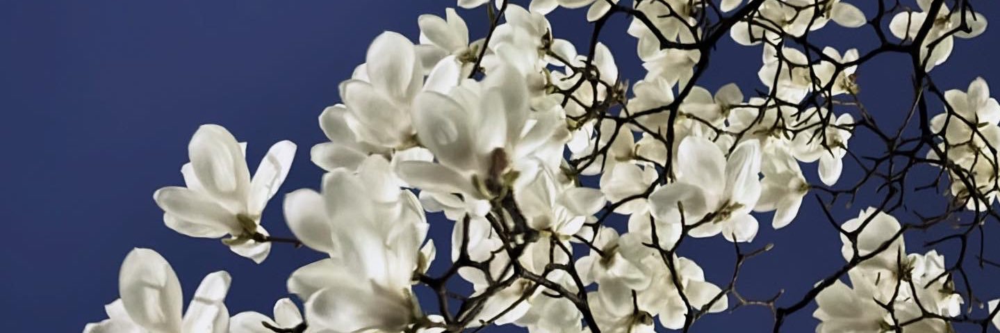 jibril0's profile banner image
