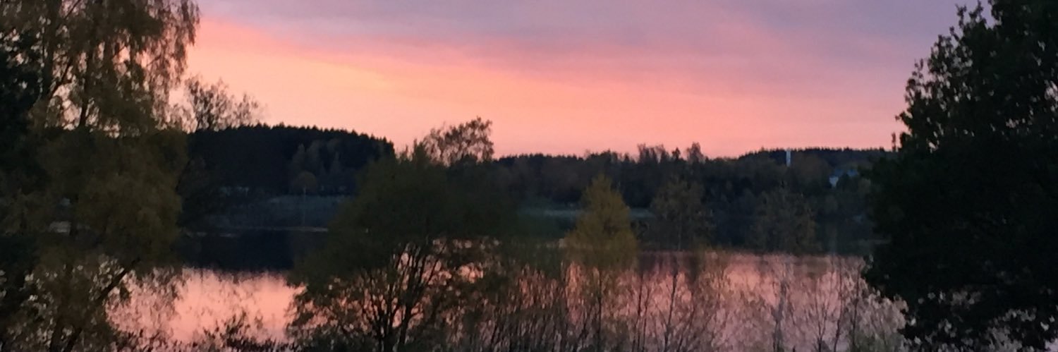 Jani banner
