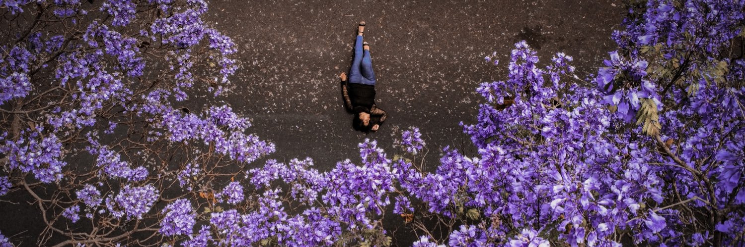 RoxyZavala_'s profile banner image