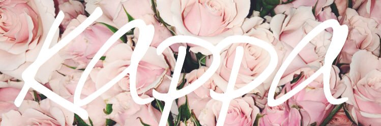 Kappa_PSU's profile banner image