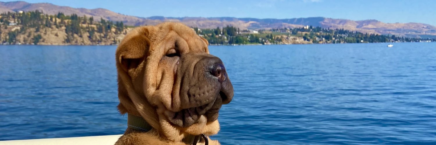 DonnyW98's profile banner image