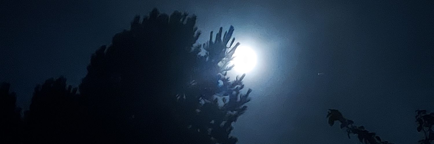 MysteryDesigns's profile banner image