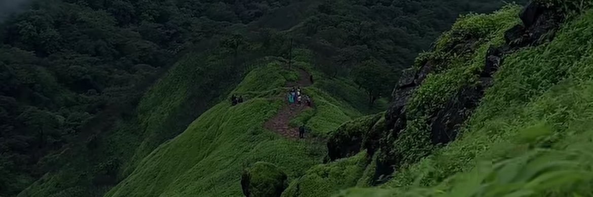 ヒカリ ペイペイ banner