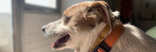 sneheshphilip Profile Banner