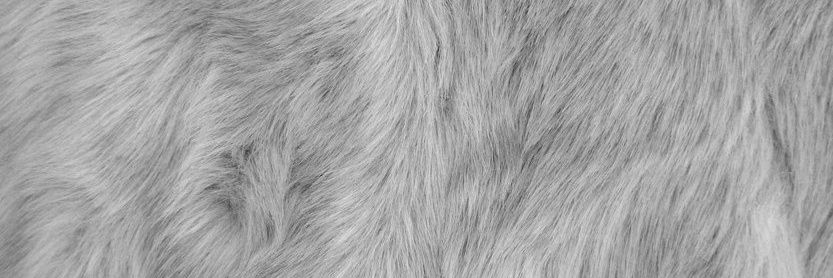 xaud61's profile banner image