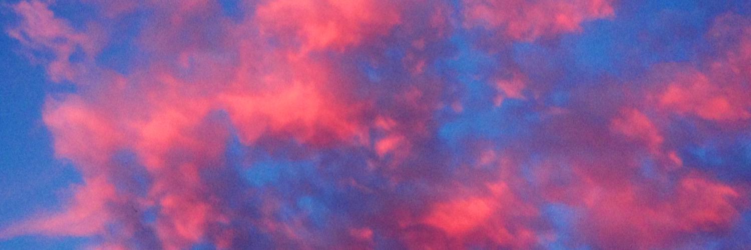 veronicaneid's profile banner image