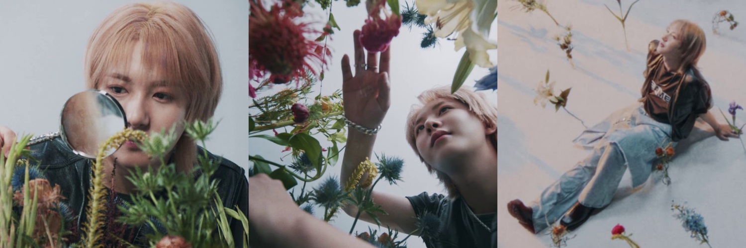 🌱| jasa war tiket lany, f4 & co weverse banner