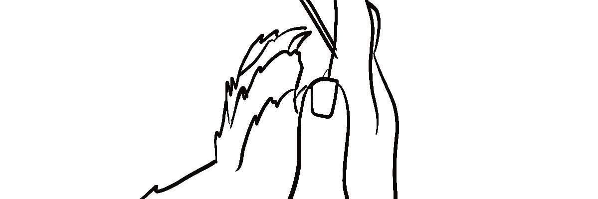anatorres19's profile banner image