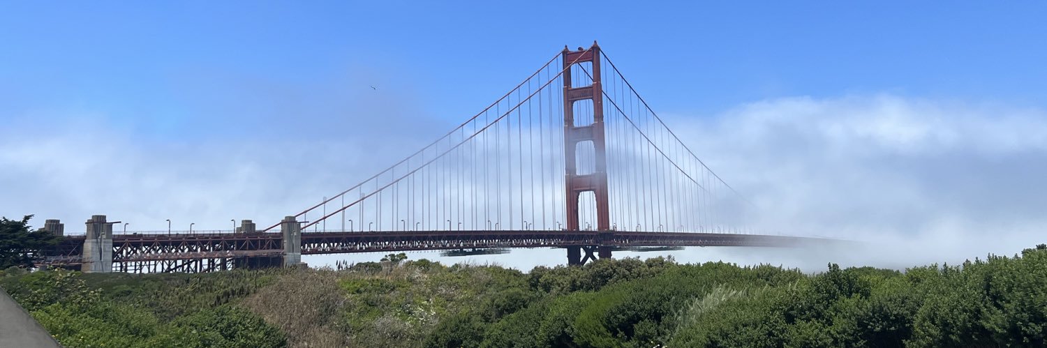 tsavall's profile banner image