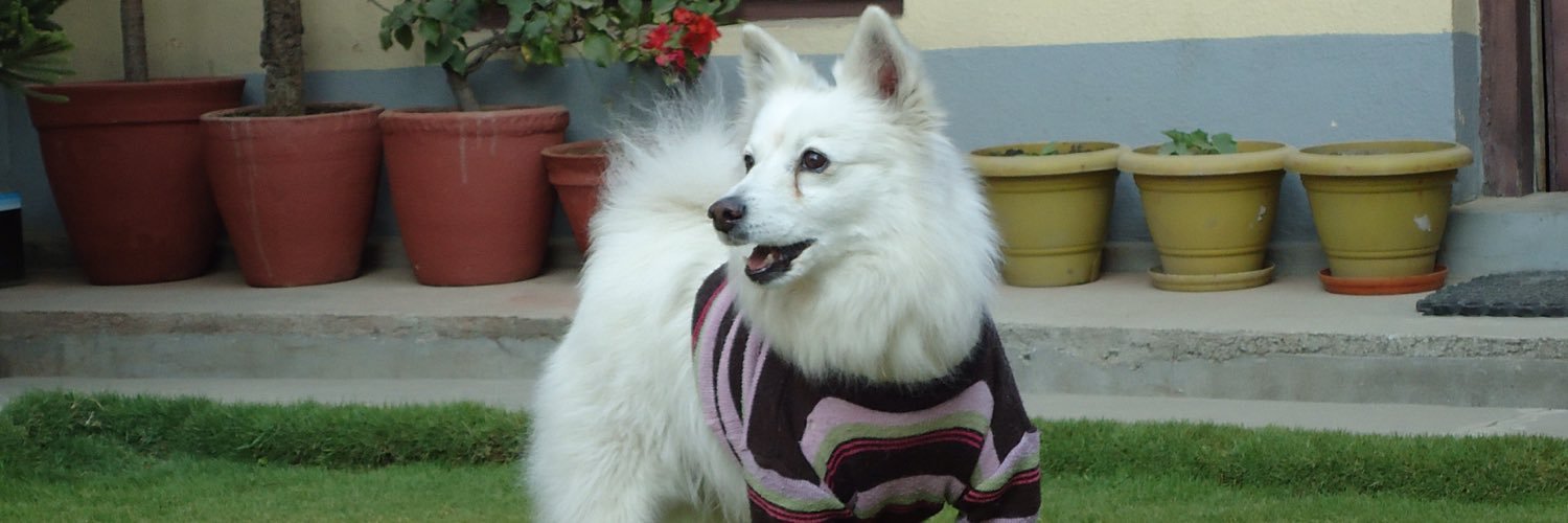 cillakhatry's profile banner image