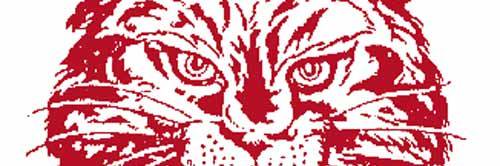 Chris Troetti banner