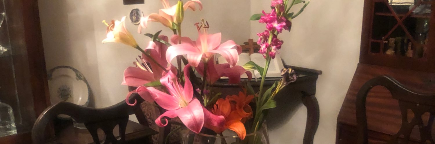 mabegafi's profile banner image