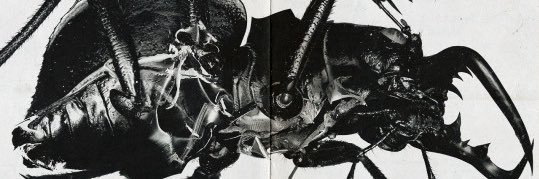 sebtns's profile banner image