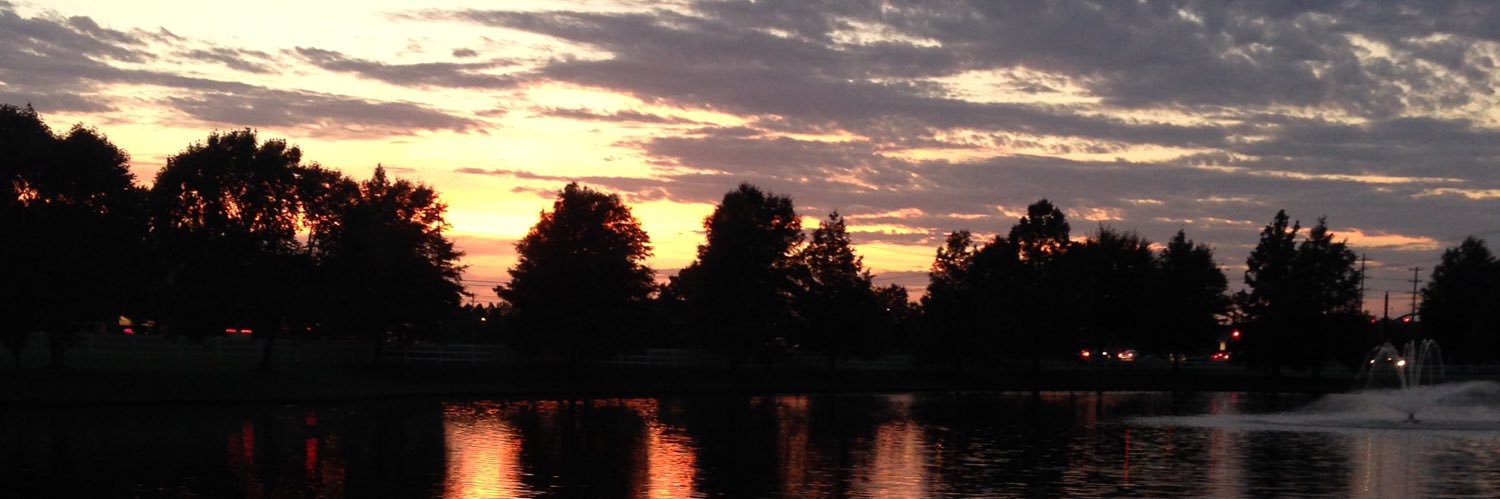 MitchDenison's profile banner image