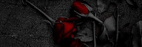 _sinn24's profile banner image