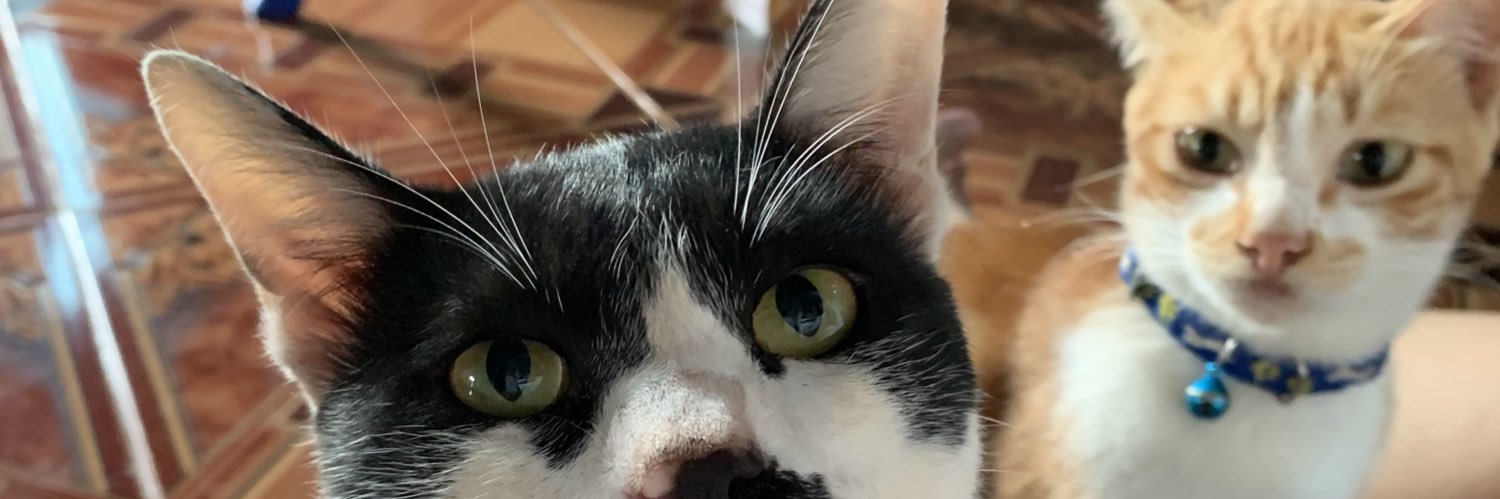 Chiachiyud's profile banner image