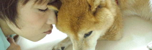 roukenhonpo's profile banner image