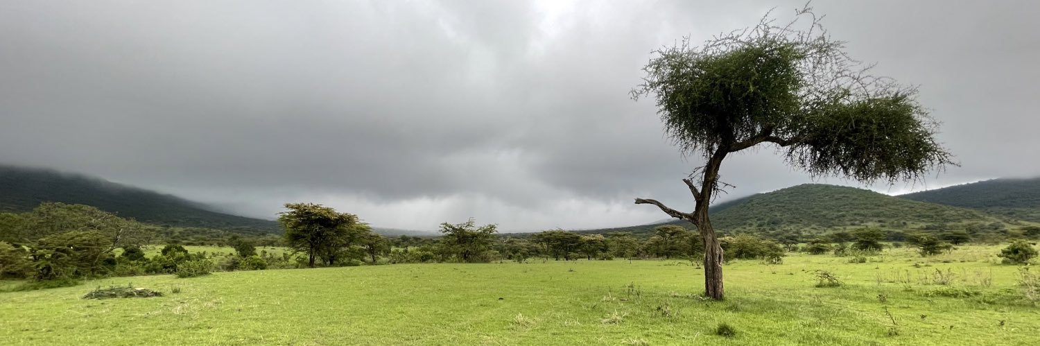 dee_duale's profile banner image