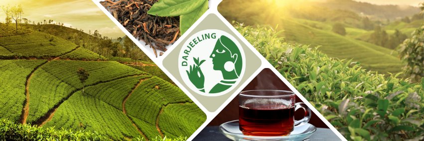 DARJEELING TEA BOUTIQUE banner