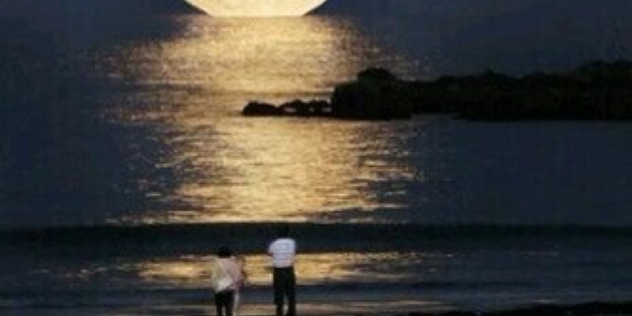 1222555111's profile banner image