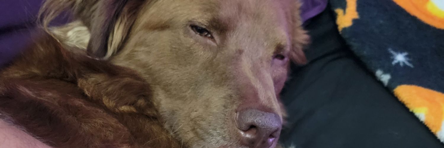 drunkHepburn's profile banner image