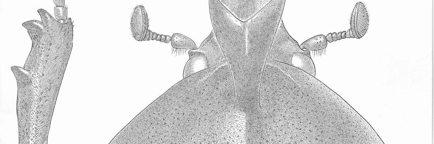 j_atrata's profile banner image