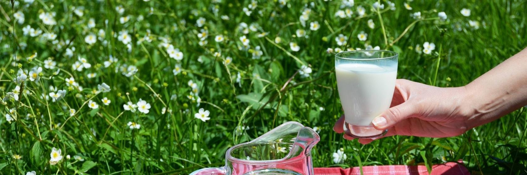 DairyInfa's profile banner image