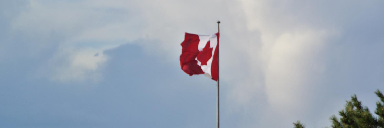 dosRoxyXX's profile banner image