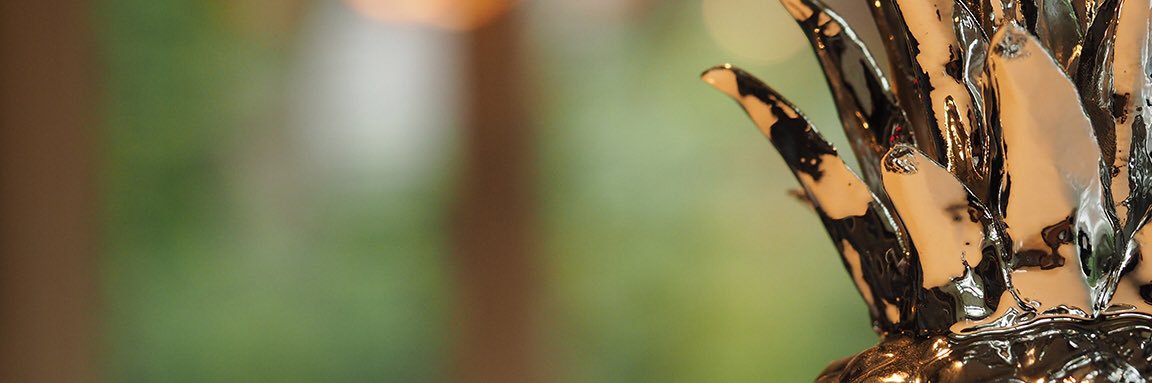 robvanvlokhoven's profile banner image