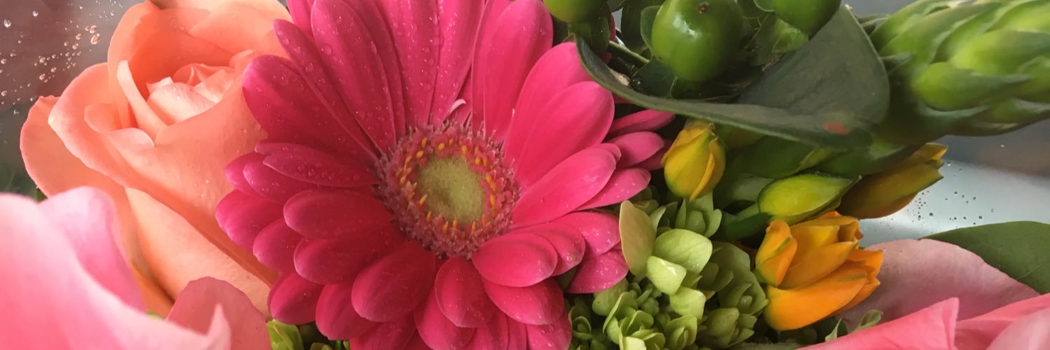 Leeann301's profile banner image