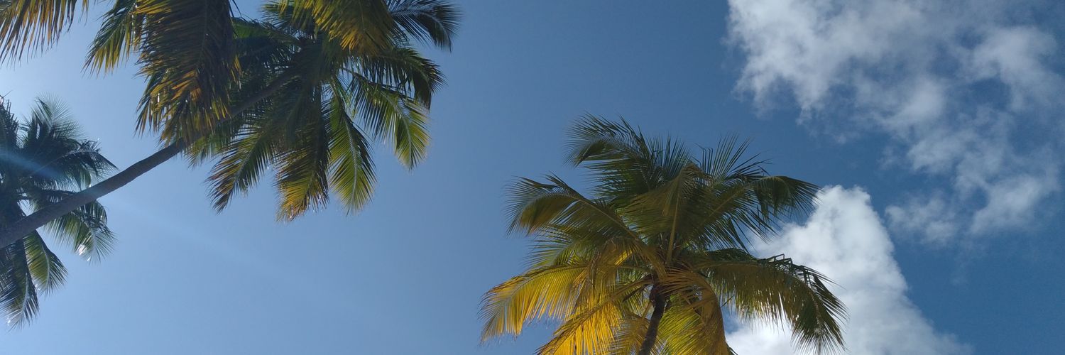 Ana Paula Bortoletto banner