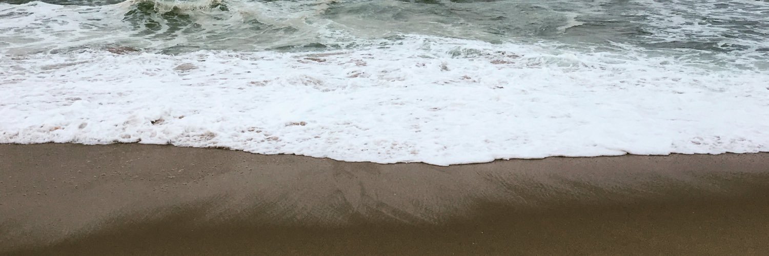 pechiko1's profile banner image