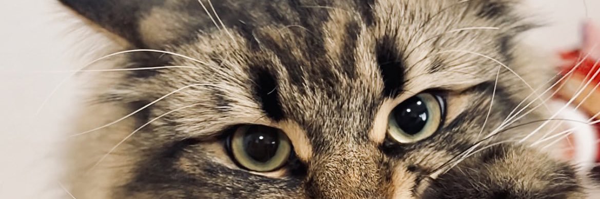 奥斯卡扫地奖 banner