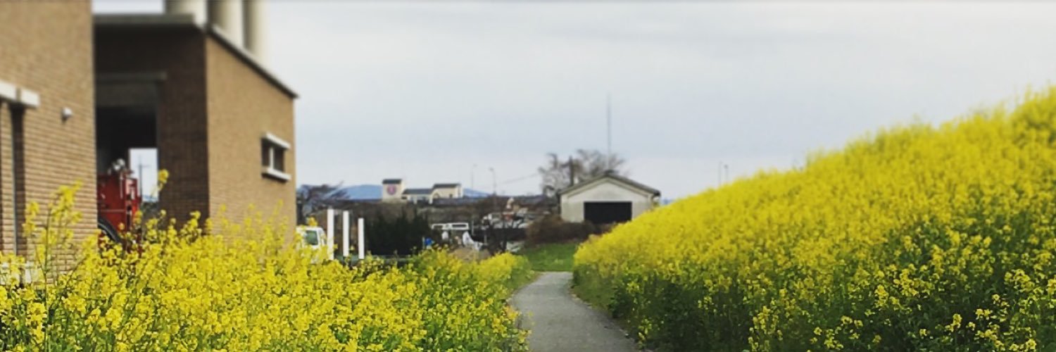 ねたもへ's banner