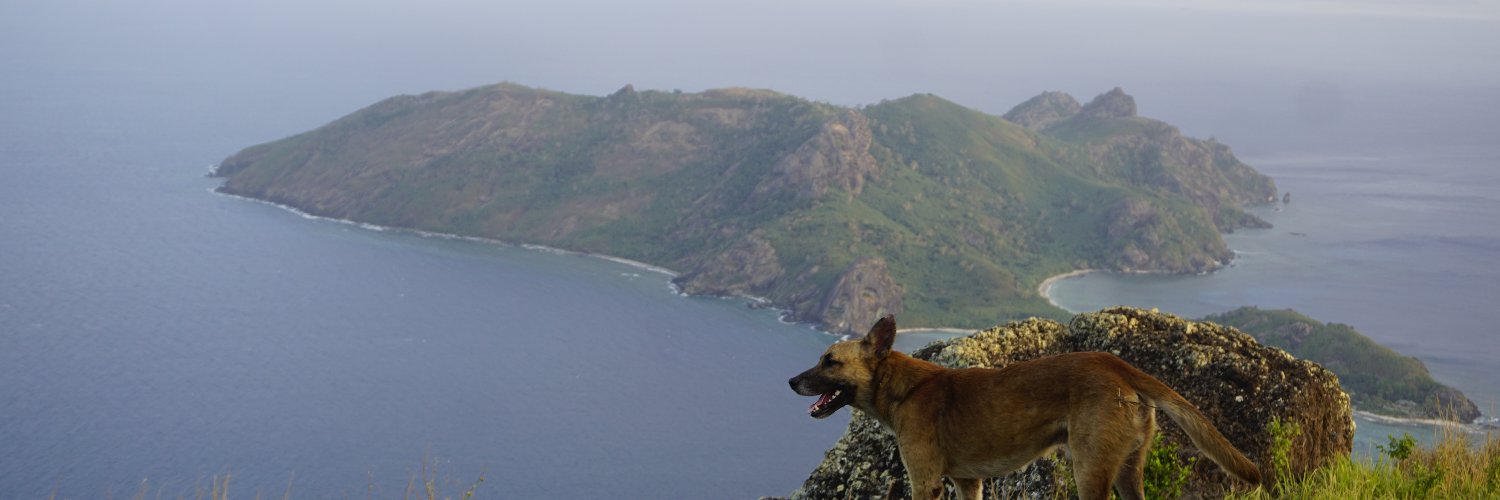 kingfrederik's profile banner image