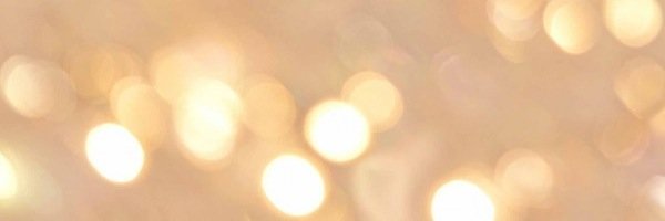 lisadebonnet.com banner