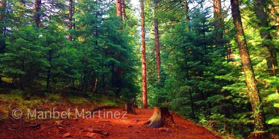maribelm360's profile banner image