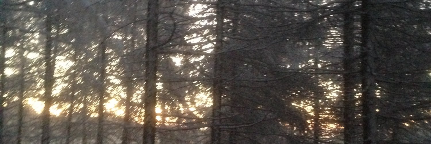 muriter's profile banner image