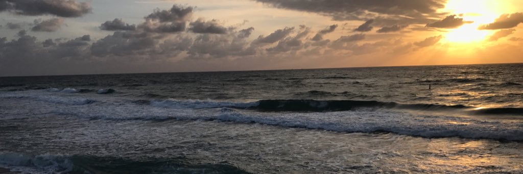 Priscilla Runion banner