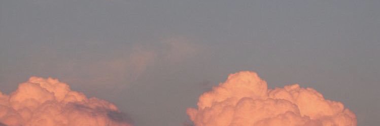 ammmm626's profile banner image
