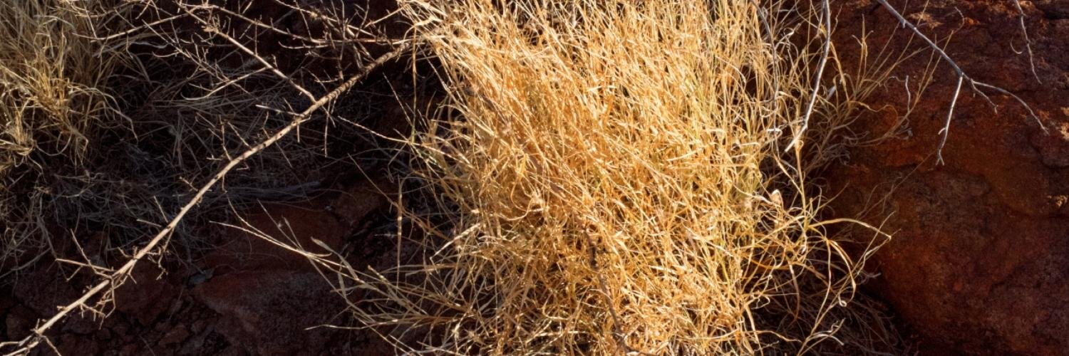 kulpayna's profile banner image