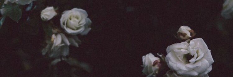essfilippelli's profile banner image