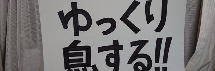 よいよいの助 banner