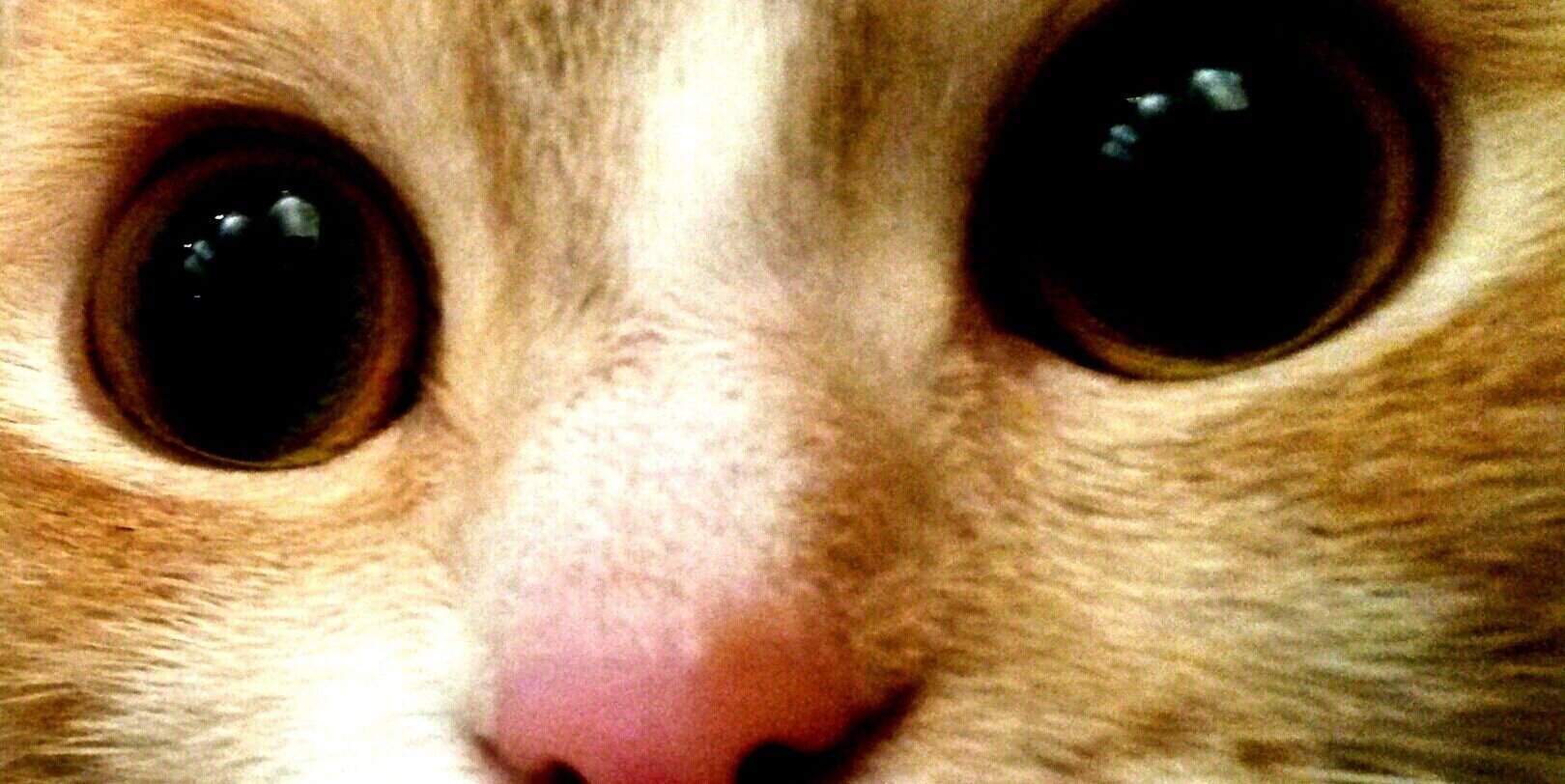 PilukiEF's profile banner image