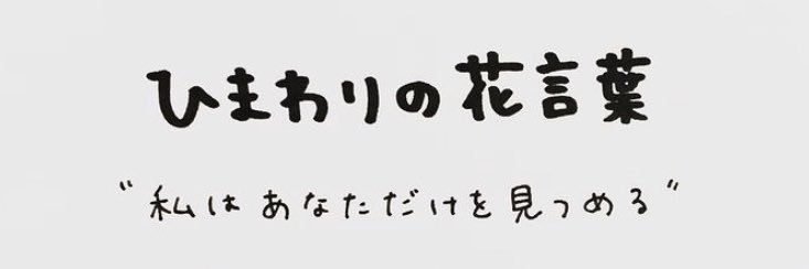 _anya101's profile banner image