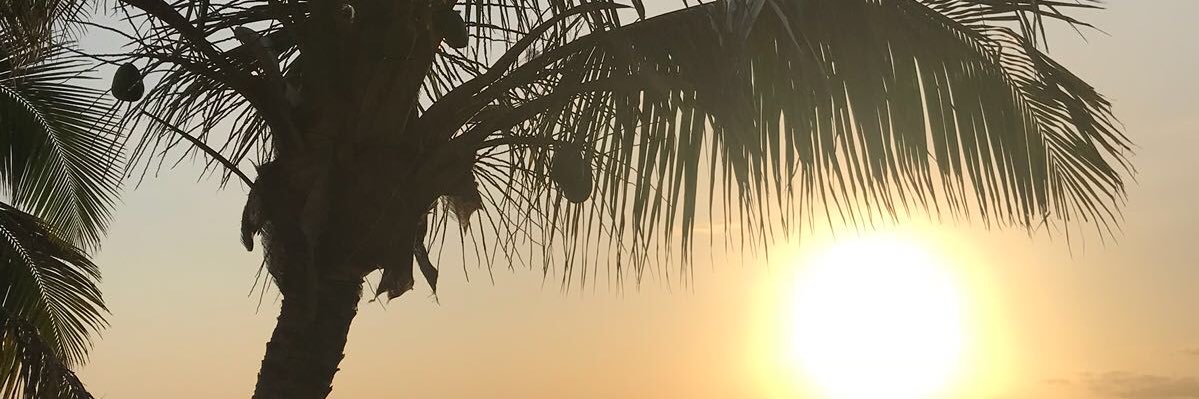 Oh C'est Chaud :) banner