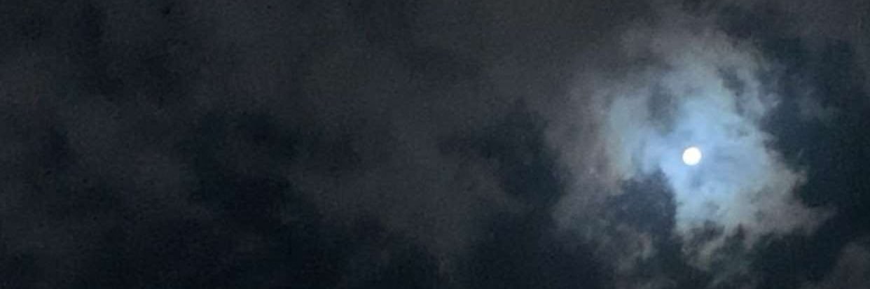 just_badria's profile banner image