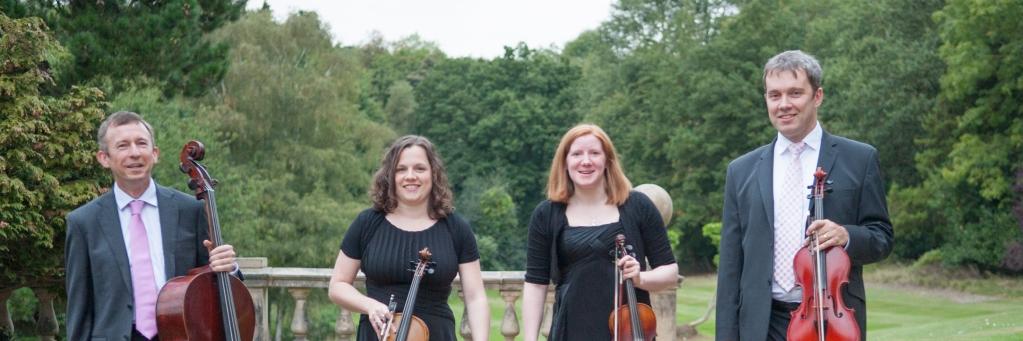 OccStrings's profile banner image