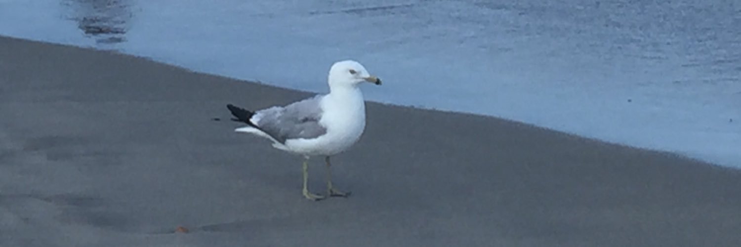 Shacl0w's profile banner image